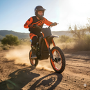 DINDO ELECTRIC DIRT BIKE